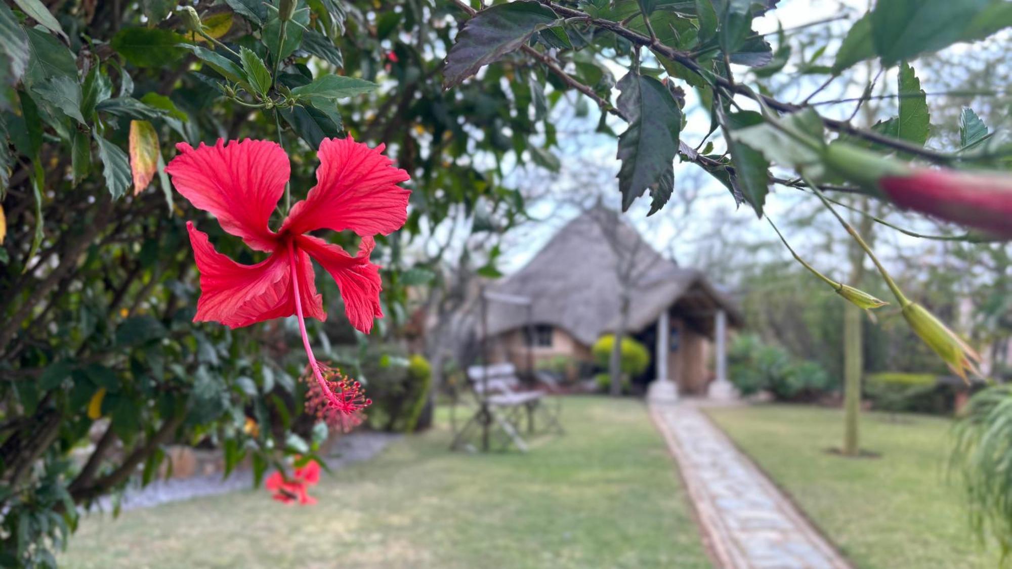 Lynns Guest House Bulawayo Eksteriør bilde